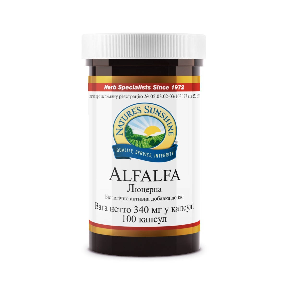 Люцерна Alfalfa 
Люцерна Alfalfa