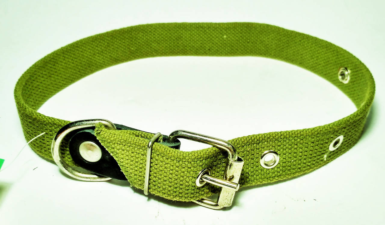 Ошейник брезентовый 25 мм х/б
Ошейник брезентовый 25 мм х/б