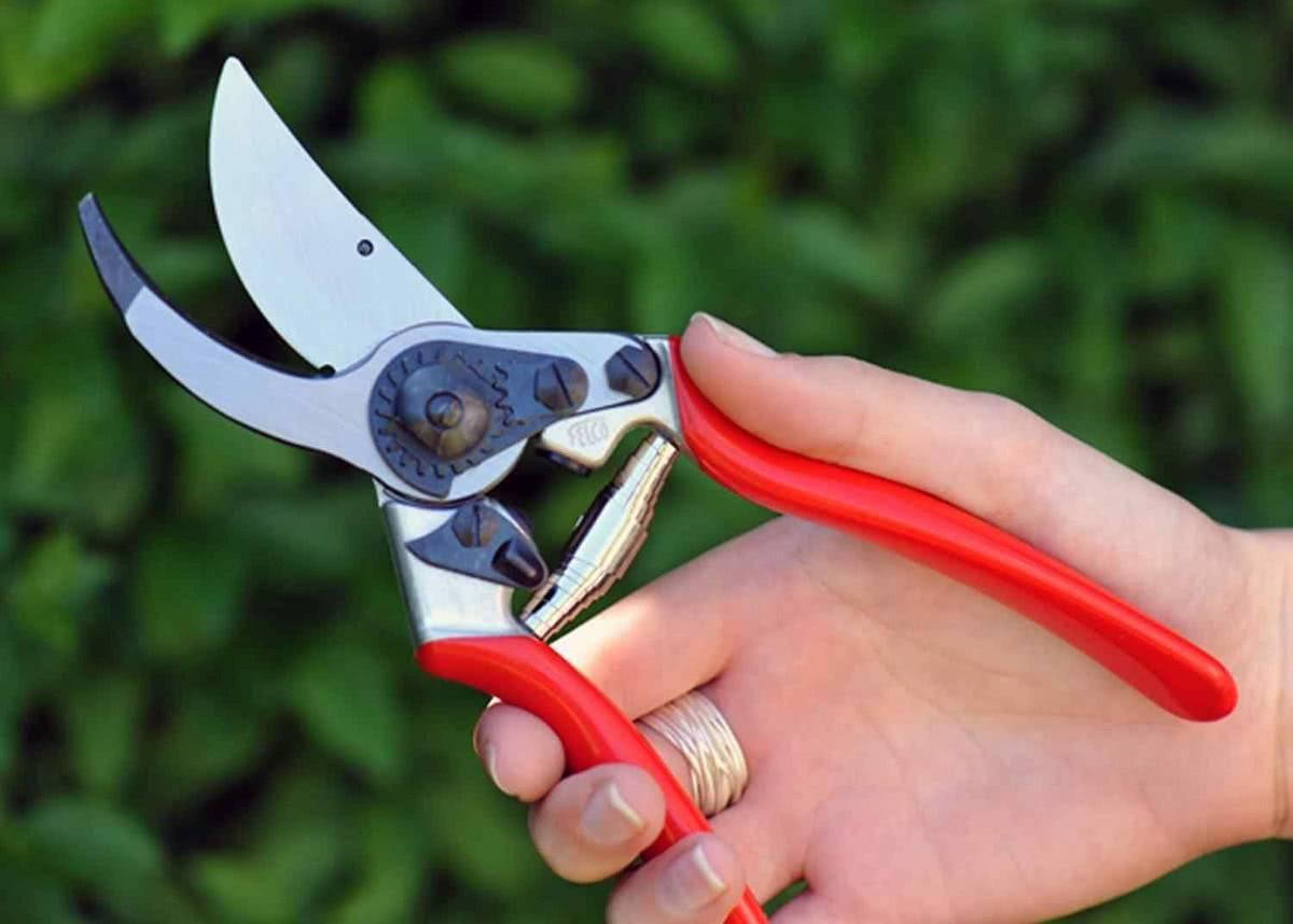 Садовый секатор FELCO 11 обводной класичесский (Фелко 11)
Садовый секатор FELCO 11 обводной класичесский (Фелко 11)