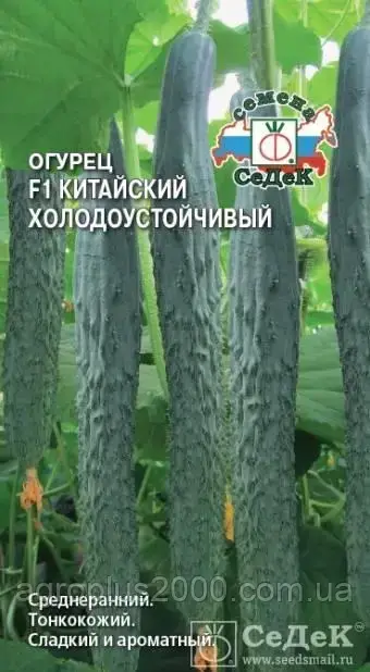 Семена Огурец Китайский Холодоустойчивый F1, 0,2 грамма Седек