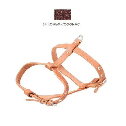 Шлейка Cristel для собак, кожа зенит, лакированная, прошитая, 18 мм / 40-50 см / 50-60 см, коньяк
Шлейка Cristel для собак, кожа зенит, лакированная, прошитая, 18 мм / 40-50 см / 50-60 см, коньяк