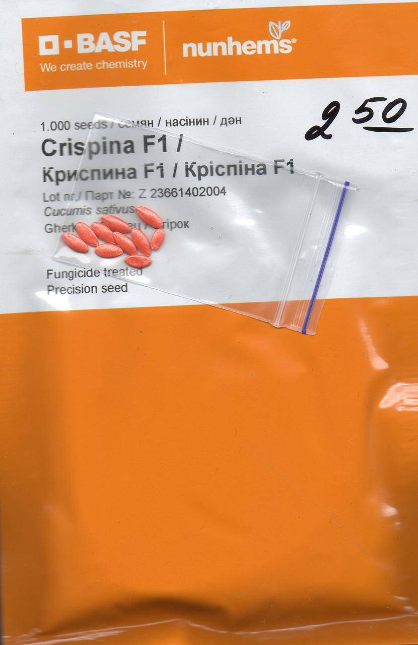 Огірок КРІСПІНА (CRISPINA) F1
Огірок КРІСПІНА (CRISPINA) F1