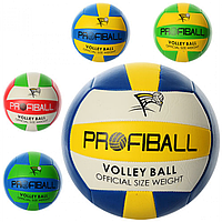 Мяч волейбольный EV 3159 PROFIBALL
Мяч волейбольный EV 3159 PROFIBALL