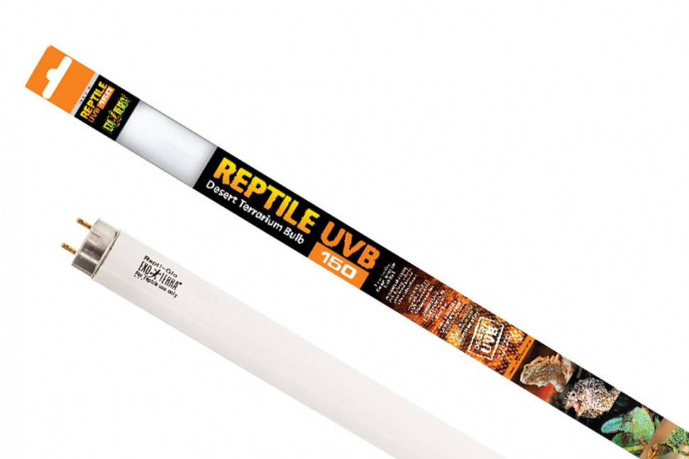 Ультрафиолетовая лампа для пустынного террариума Exo Terra Reptile UVB 150 T8, 18 Вт, 60 см
Ультрафиолетовая лампа для пустынного террариума Exo Terra Reptile UVB 150 T8, 18 Вт, 60 см