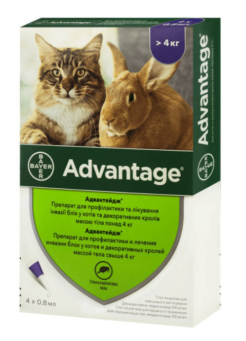 Капли от блох Advantage (Адвантейдж) 80 для котов и декоративных кролей свыше 4 кг (1 пипетка 0,8 мл) Bayer
Капли от блох Advantage (Адвантейдж) 80 для котов и декоративных кролей свыше 4 кг (1 пипетка 0,8 мл) Bayer