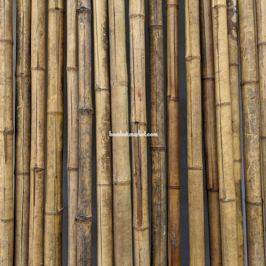 Бамбуковый ствол-К, д.4-6см, L 2,8м СОРТ 3
Бамбуковый ствол-К, д.4-6см, L 2,8м СОРТ 3