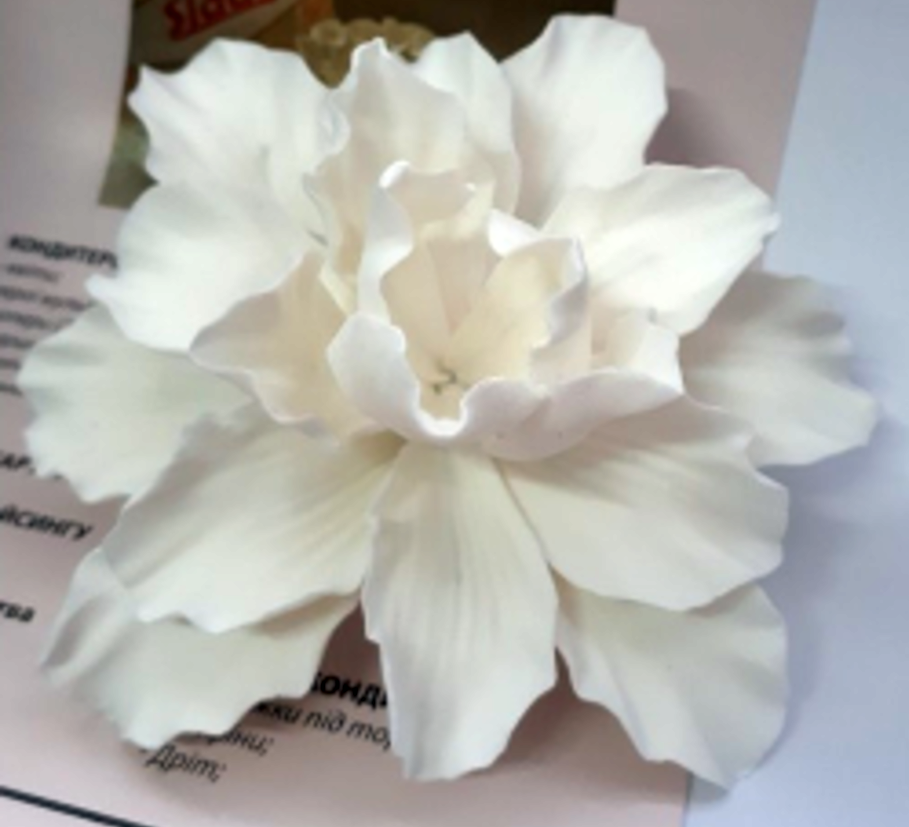 Цукрова прикраса для кондитерських виробів Лілія махрова, Белый 
Цукрова прикраса для кондитерських виробів Лілія махрова, Белый