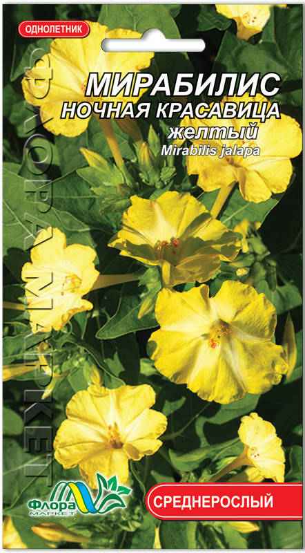 Семена цветов Мирабилис ночная красавица желтый Флора маркет 
Семена цветов Мирабилис ночная красавица желтый Флора маркет