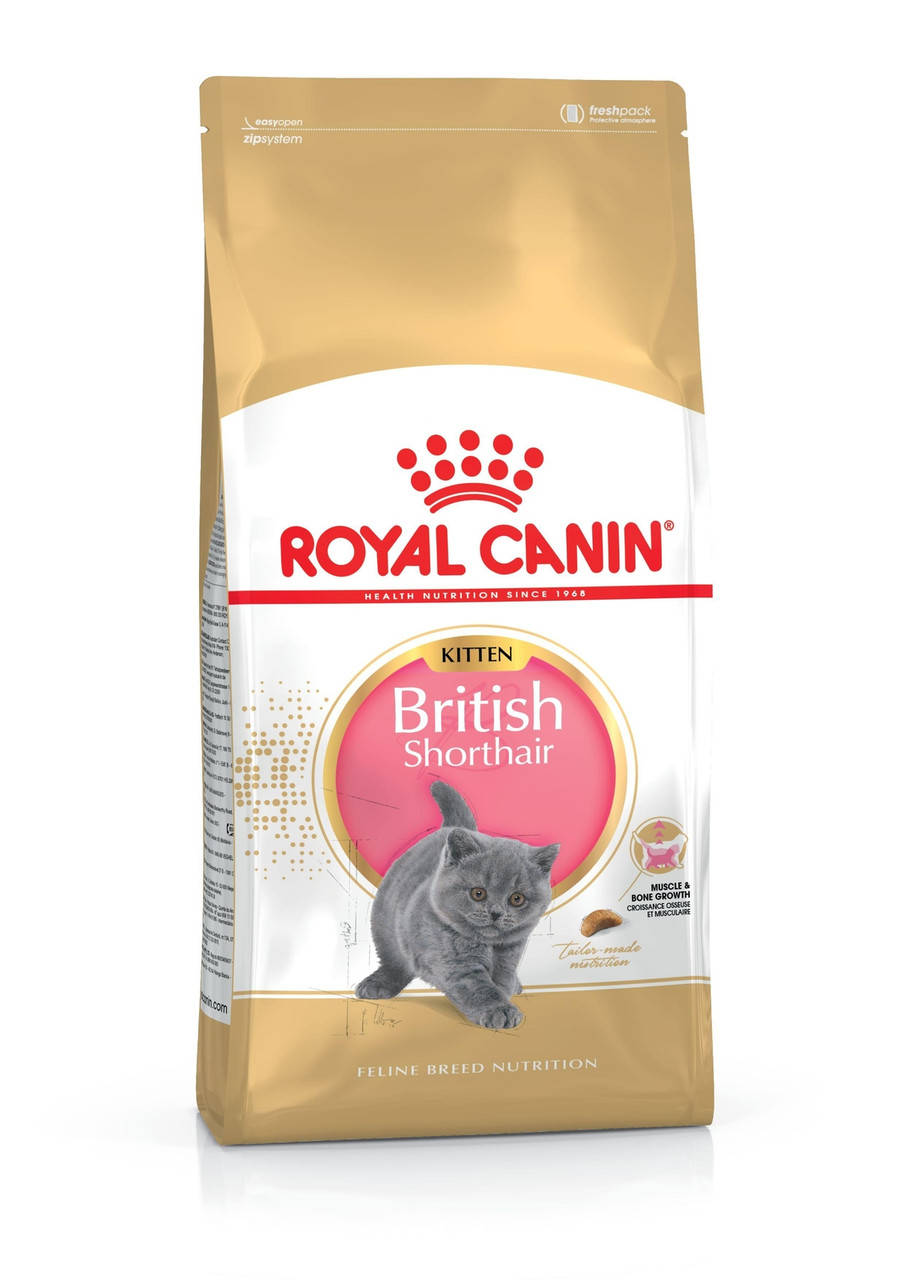 Сухой корм Royal Canin (Роял Канин British Shorthair Kitten для котят британской короткошерстной породы, 10 кг
Сухой корм Royal Canin (Роял Канин British Shorthair Kitten для котят британской короткошерстной породы, 10 кг