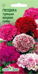 Семена Гвоздики Турецкий махровая смесь 0,2 г 
Семена Гвоздики Турецкий махровая смесь 0,2 г