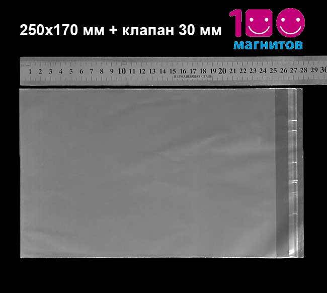 Полипропиленовый пакет с клапаном и клеевой полосой. Размер 250х170 мм А5. Уп. 100 шт, Прозрачный
Полипропиленовый пакет с клапаном и клеевой полосой. Размер 250х170 мм А5. Уп. 100 шт, Прозрачный