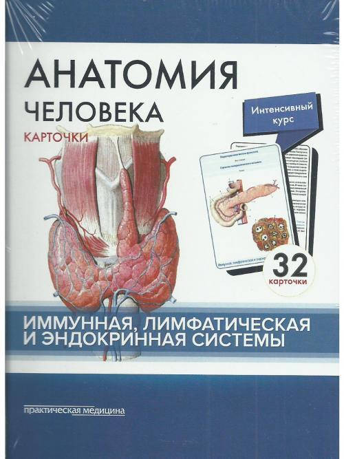 Сапин Анатомия человека: КАРТОЧКИ (32шт). Имунная, лимфатическая и эндокринная системы 2017 год
Сапин Анатомия человека: КАРТОЧКИ (32шт). Имунная, лимфатическая и эндокринная системы 2017 год