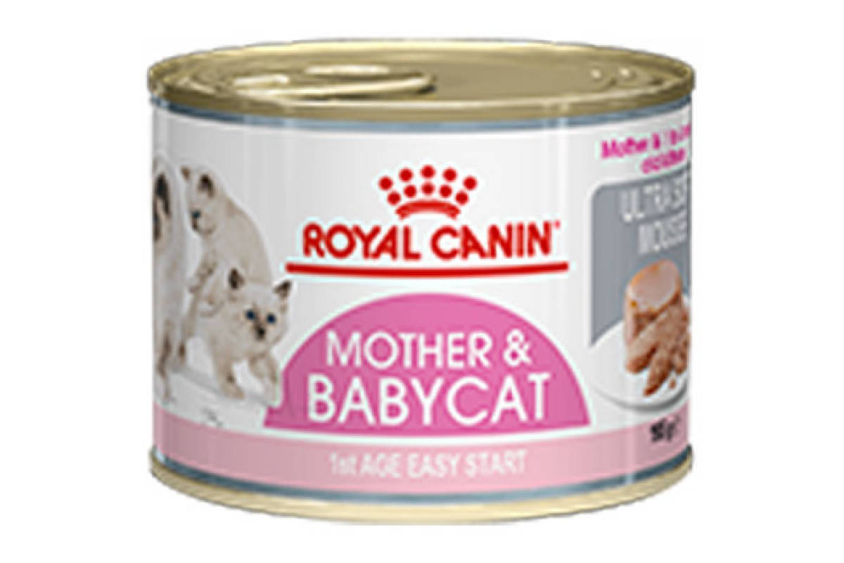 Влажный корм Royal Canin Mother and Babycat Ultra Soft Mousse 195 г х 12 шт для котят и беременных кошек
Влажный корм Royal Canin Mother and Babycat Ultra Soft Mousse 195 г х 12 шт для котят и беременных кошек