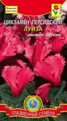Семена Цикламен персидский Луиза 3 сем. Агроника, Розовый 
Семена Цикламен персидский Луиза 3 сем. Агроника, Розовый