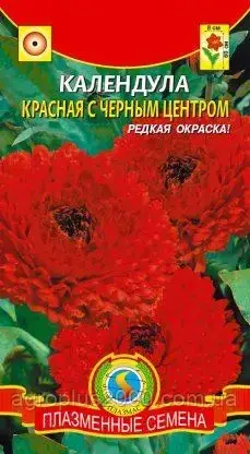 Семена Календула махровая Красная с Черным Центром 0,3 грамма Плазменные семена, Красный
Семена Календула махровая Красная с Черным Центром 0,3 грамма Плазменные семена, Красный