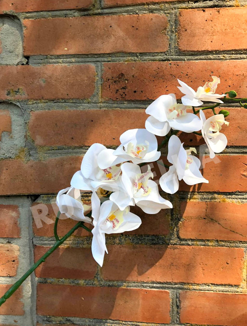 Орхідея біла на стеблі латекс. Орхідея штучна для декору, Белый 
Орхідея біла на стеблі латекс. Орхідея штучна для декору, Белый