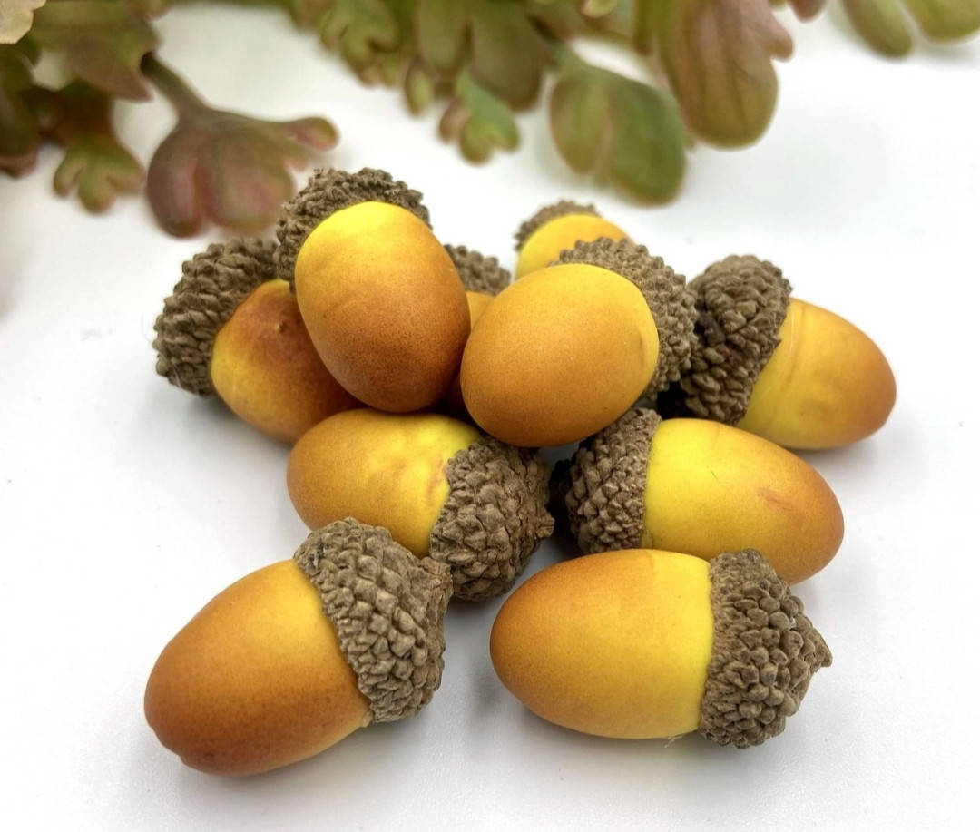 Муляж из пенопласта "Желудь" с натуральной шляпкой 30х20мм
Муляж из пенопласта "Желудь" с натуральной шляпкой 30х20мм