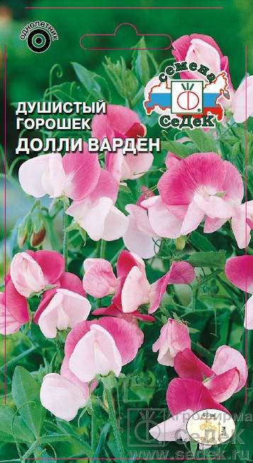 Семена Душистый горошек Долли Варден 0,5 грамма Седек, Розовый 
Семена Душистый горошек Долли Варден 0,5 грамма Седек, Розовый