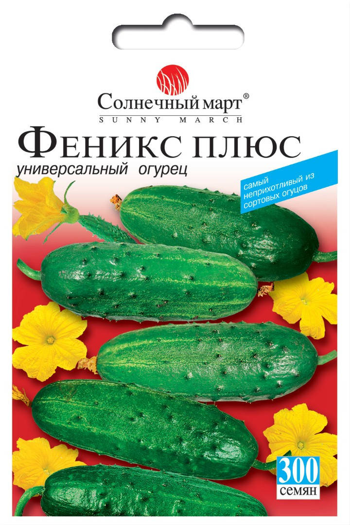 Семена Огурец пчелоопыляемый Феникс Плюс 300 семян Солнечный Март 
Семена Огурец пчелоопыляемый Феникс Плюс 300 семян Солнечный Март