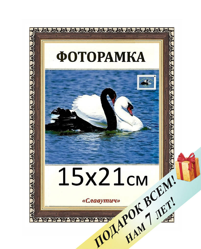 Фоторамка пластиковая А5 15х21, коричневая. Рамка для фото дипломов сертификатов грамот. Код 1713-6, Коричневый
Фоторамка пластиковая А5 15х21, коричневая. Рамка для фото дипломов сертификатов грамот. Код 1713-6, Коричневый