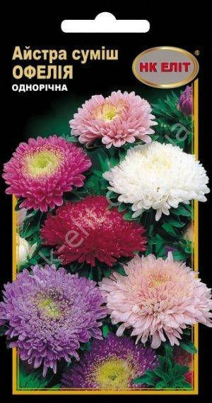 Астра Офелия смесь
Астра Офелия смесь