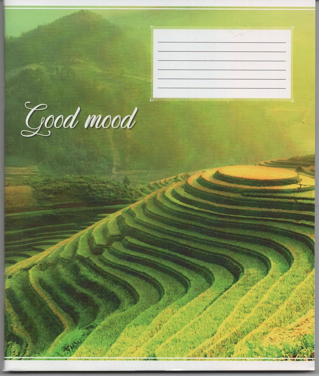 Тетрадь 96 листов в клетку Полиграфист
Тетрадь 96 листов в клетку Полиграфист