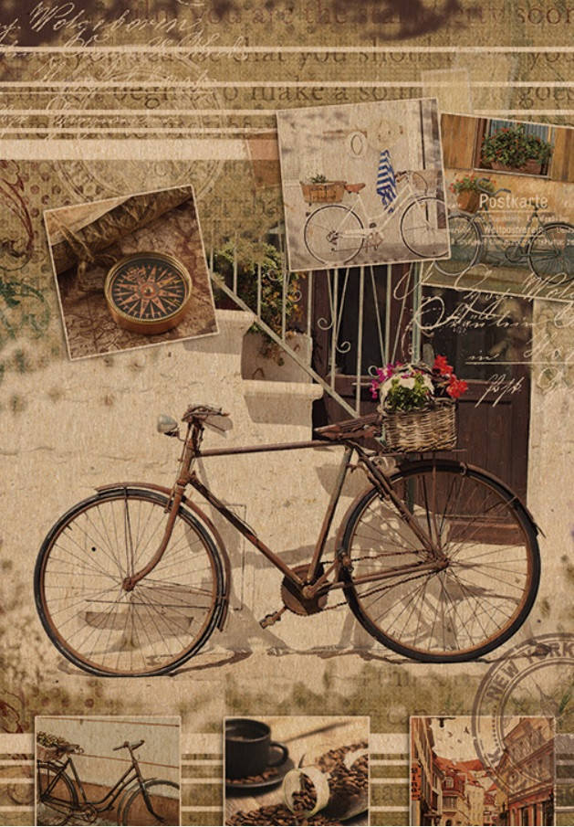 Подарочный пакет БОЛЬШОЙ ВЕРТИКАЛЬНЫЙ 25*36*8 см Вело 
Подарочный пакет БОЛЬШОЙ ВЕРТИКАЛЬНЫЙ 25*36*8 см Вело