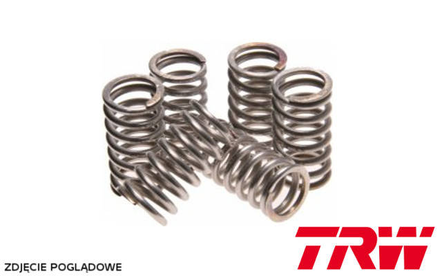 TRW LUCAS ПРУЖИНЫ СЦЕПЛЕНИЯ YAMAHA WRF,YFZ 450, YFZ, FZ6 FAZER, XJ 600,YZF,XTZ ,TDM,TRX,XJ/MEF117-6
TRW LUCAS ПРУЖИНЫ СЦЕПЛЕНИЯ YAMAHA WRF,YFZ 450, YFZ, FZ6 FAZER, XJ 600,YZF,XTZ ,TDM,TRX,XJ/MEF117-6