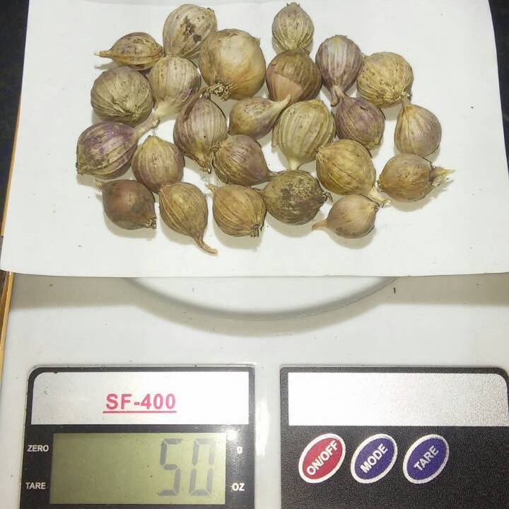 Чеснок Любаша однозубка посадочный с острым приятным вкусом элита фракция 8-15мм, упаковка 100 г
Чеснок Любаша однозубка посадочный с острым приятным вкусом элита фракция 8-15мм, упаковка 100 г