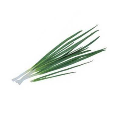 Семена лук на перо Энтита 1г Свитязь
Семена лук на перо Энтита 1г Свитязь