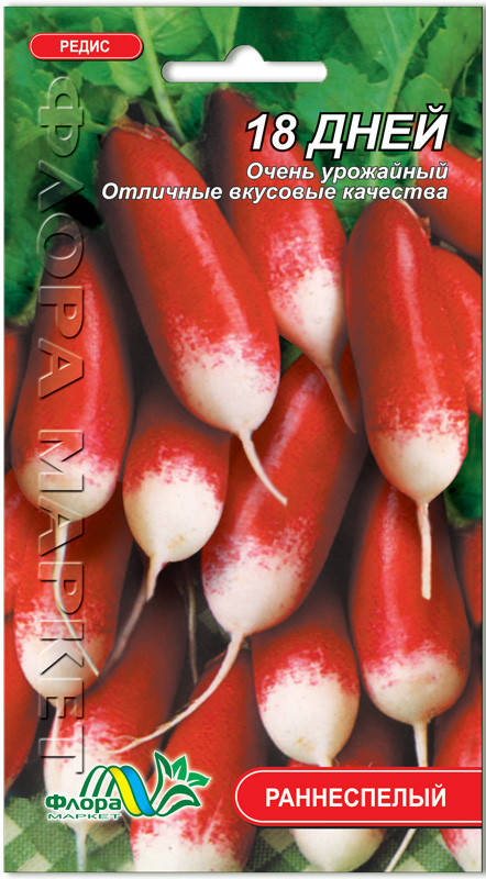 Редис 18 дней
Редис 18 дней