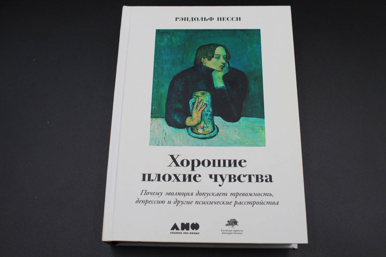 Хорошие плохие чувства. Почему эволюция допускает тревожность депрессию и другие психические расстройства
Хорошие плохие чувства. Почему эволюция допускает тревожность депрессию и другие психические расстройства