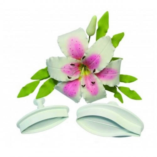 Плунжер для мастики "Лилия малая" набор из 2 форм
Плунжер для мастики "Лилия малая" набор из 2 форм