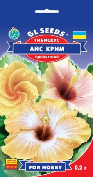 Гибискус Айс Крим с бело - кремовыми цветками с шоколадно - коричневой серединкой, упаковка 0,2 г
Гибискус Айс Крим с бело - кремовыми цветками с шоколадно - коричневой серединкой, упаковка 0,2 г