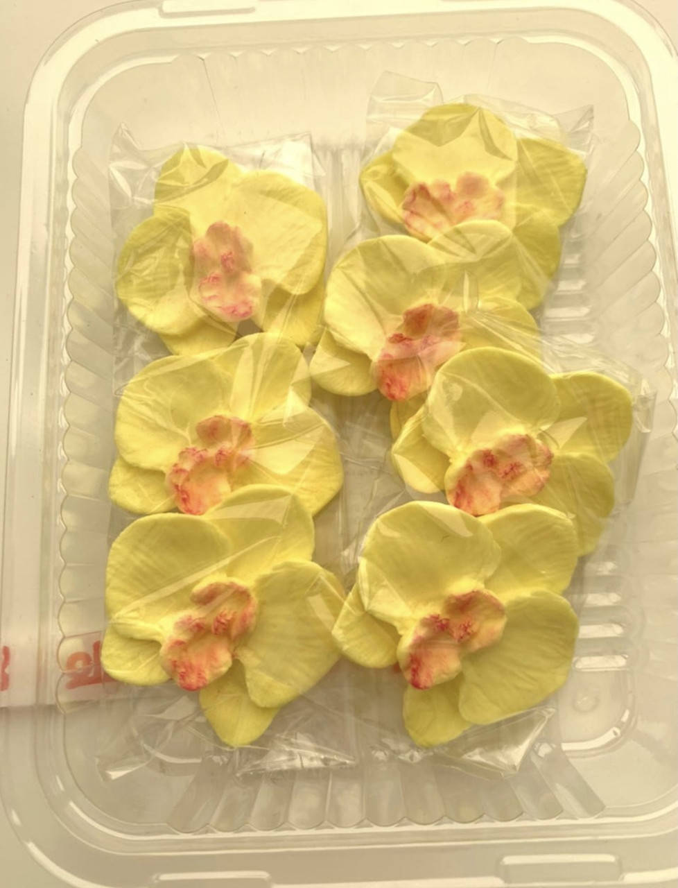 Орхидея жёлтая d-40мм. ТМ “Slado"
Орхидея жёлтая d-40мм. ТМ “Slado"