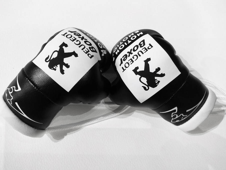 Мини боксерские перчатки в автомобиль чёрные 160
Мини боксерские перчатки в автомобиль чёрные 160