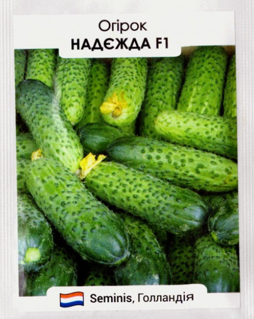 Надежда F1 1000 шт Seminis Огірок Бджолозапильний Насіння (Огурец Пчелоопыляемый Семена)
Надежда F1 1000 шт Seminis Огірок Бджолозапильний Насіння (Огурец Пчелоопыляемый Семена)