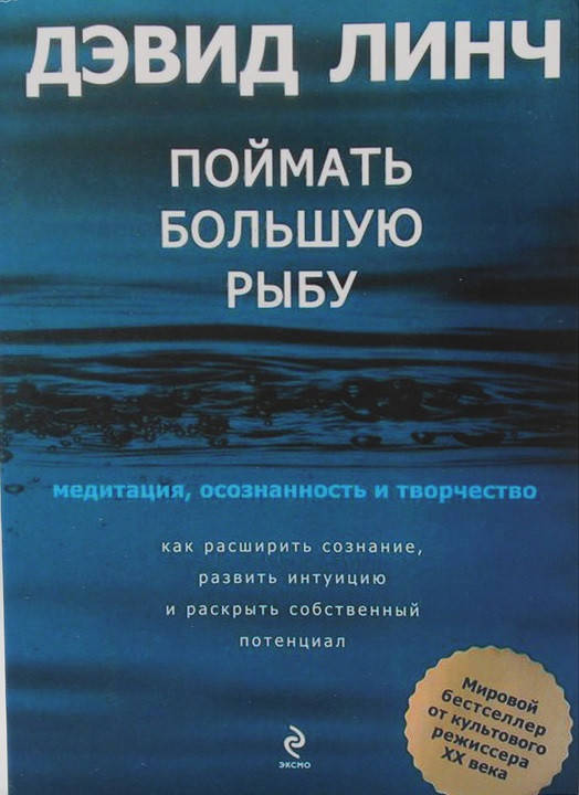 Книга Поймать большую рыбу. Медитация, осознанность, творчество. Автор - Дэвид Линч (Форс)
Книга Поймать большую рыбу. Медитация, осознанность, творчество. Автор - Дэвид Линч (Форс)