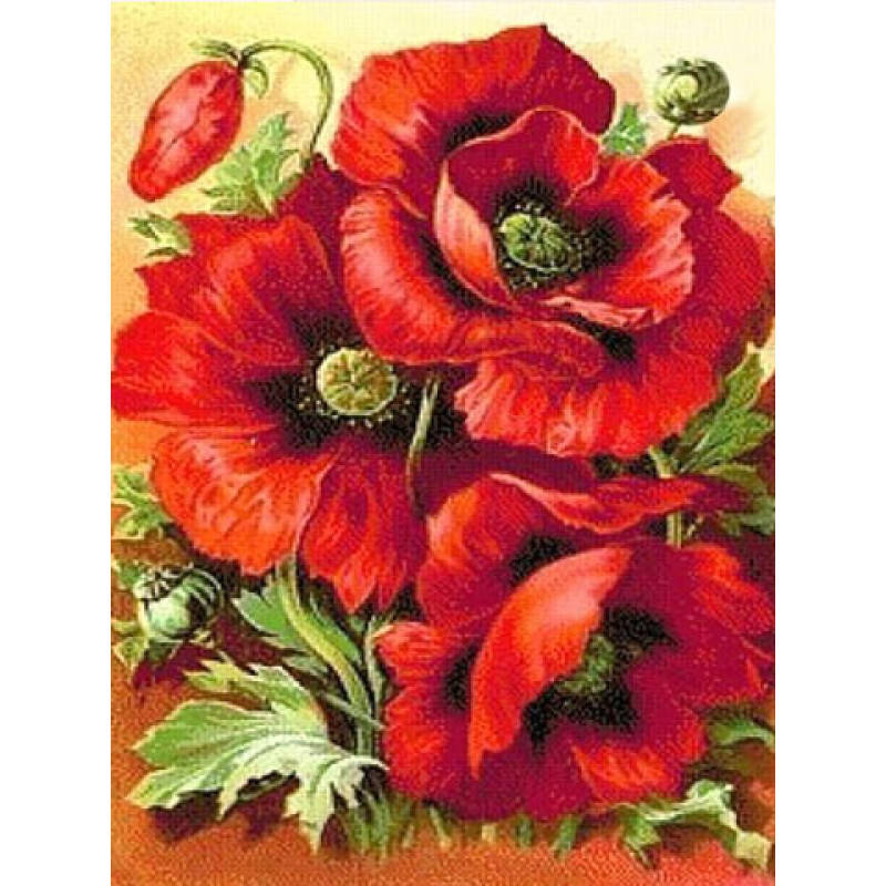 Набор алмазная вышивка мозаика по номерам картины квадратными стразами цветы Маки полная выкладка 30х40
Набор алмазная вышивка мозаика по номерам картины квадратными стразами цветы Маки полная выкладка 30х40