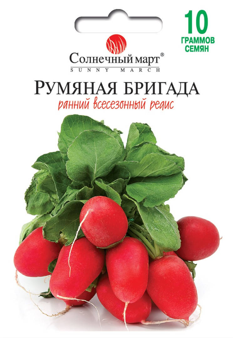 Редис Румяная бригада (Германия), 10гр.
Редис Румяная бригада (Германия), 10гр.