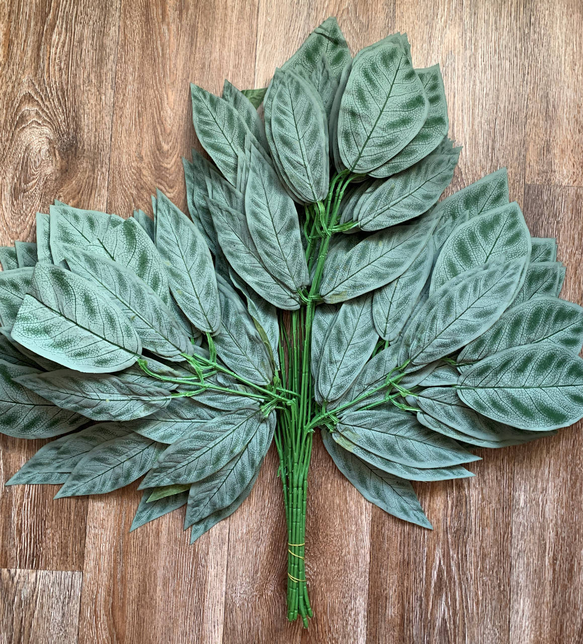 Листья манго с напылением (70 см) (12 шт) 
Листья манго с напылением (70 см) (12 шт)