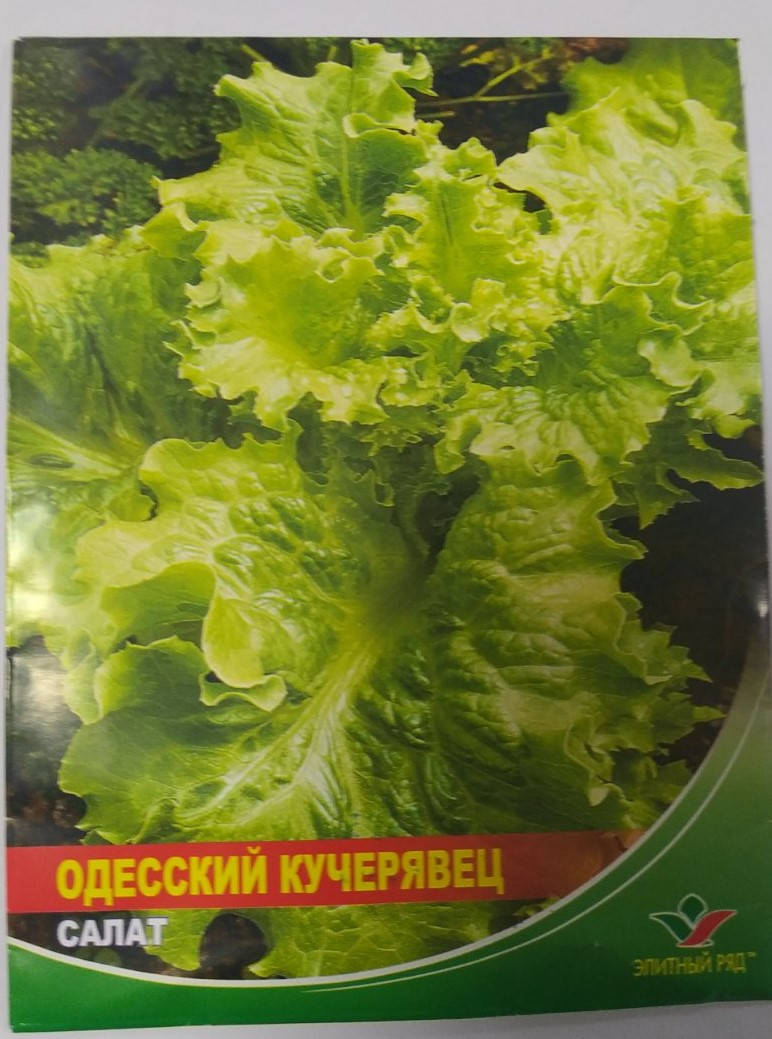Салат Одесский Кучерявец 1 г Элитный ряд
Салат Одесский Кучерявец 1 г Элитный ряд
