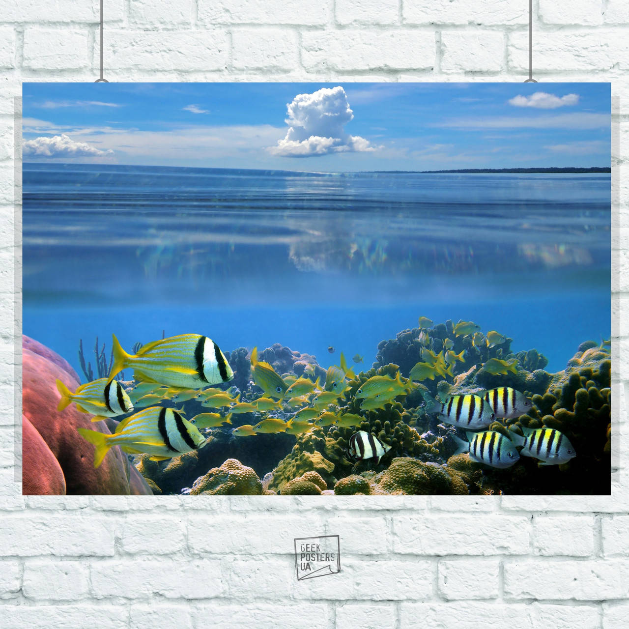 Постер Подводный мир, рыбы, коралловый риф, природа. Размер 42x30см (A3). Матовая бумага
Постер Подводный мир, рыбы, коралловый риф, природа. Размер 42x30см (A3). Матовая бумага