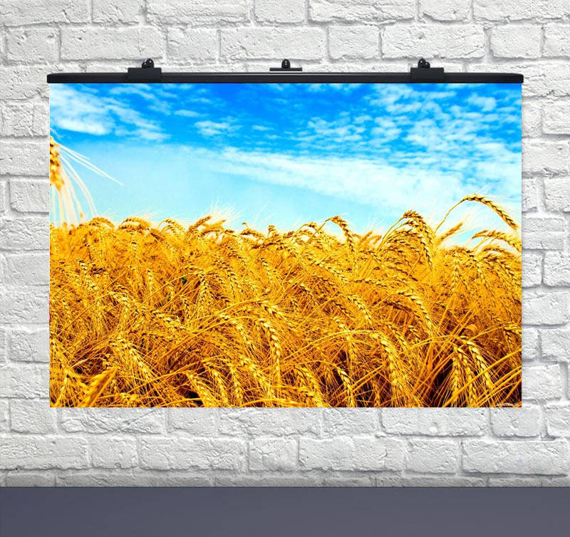 Плакат для праздника Украина пшеничное поле (любая надпись) 75*120 см 
Плакат для праздника Украина пшеничное поле (любая надпись) 75*120 см