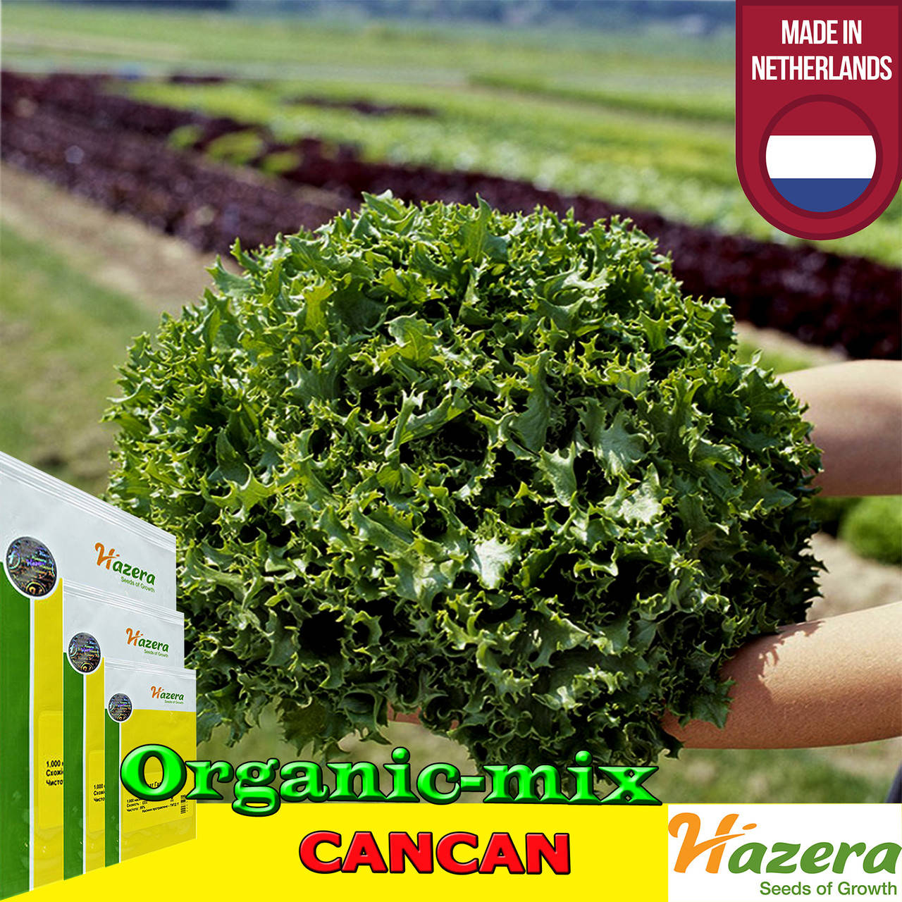 Салат КАНКАН / CANCAN от ТМ HAZERA (Нидерланды) проф. пакет 5 грамм