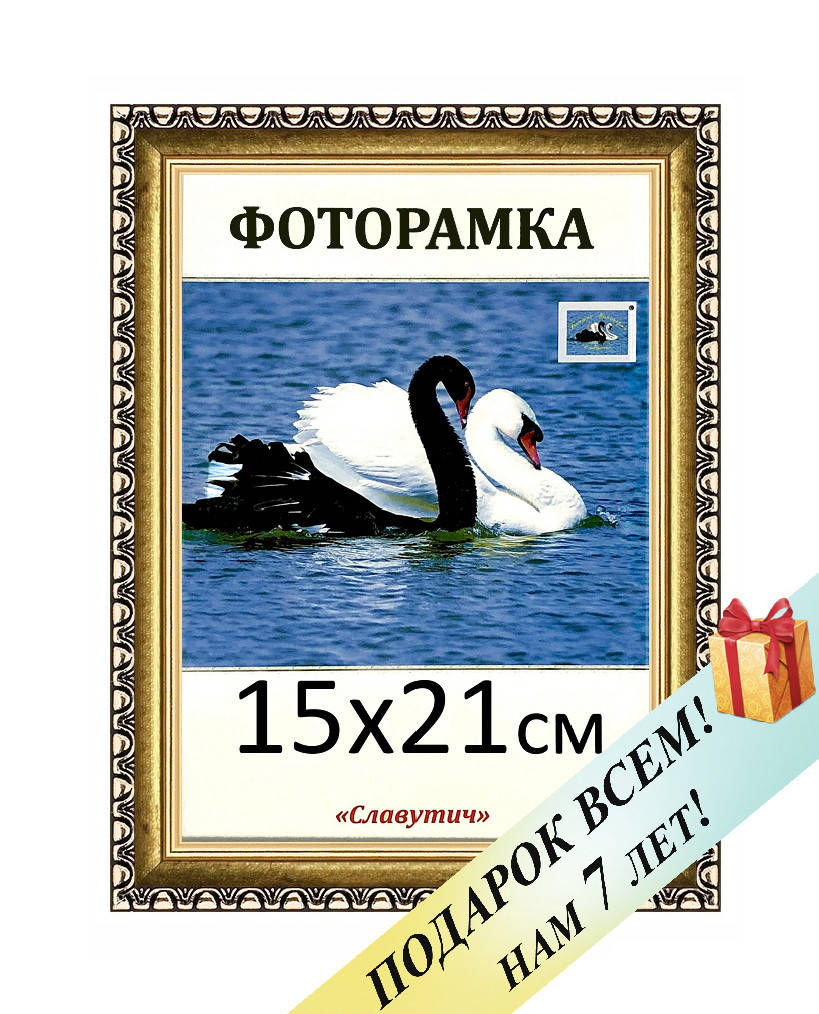 Фоторамка пластиковая А5 15х21, золотистая. Рамка для фото дипломов сертификатов грамот. Код 1713-3, Золотистый
Фоторамка пластиковая А5 15х21, золотистая. Рамка для фото дипломов сертификатов грамот. Код 1713-3, Золотистый