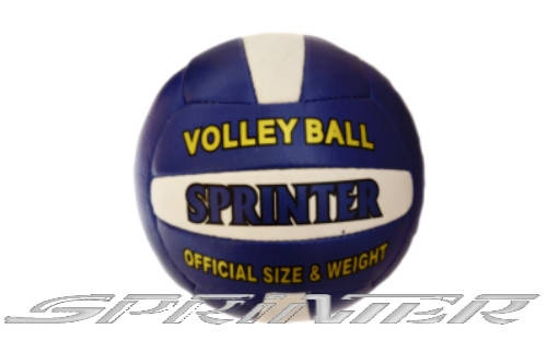 Мяч волейбольный Sprinter. 55 
Мяч волейбольный Sprinter. 55