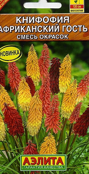 Семена Книфофия Африканский Гость 0,1 грамма Аэлита, Разные цвета
Семена Книфофия Африканский Гость 0,1 грамма Аэлита, Разные цвета