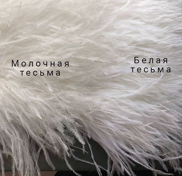 Перьевая тесьма из натуральных перьев молочного цвета. Перья страуса на ленте 10-15 см, Цена за 1 м., Розовый
Перьевая тесьма из натуральных перьев молочного цвета. Перья страуса на ленте 10-15 см, Цена за 1 м., Розовый
