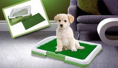 Туалет для собак Puppy Potty Pad, домашний туалет для щенков, лоток для животных
Туалет для собак Puppy Potty Pad, домашний туалет для щенков, лоток для животных